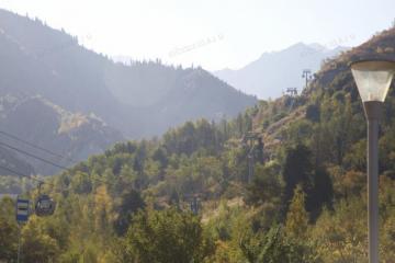Талгар – самая высокая вершина, видимая из Алматы Животный и растительный мир Заилийского Алатау