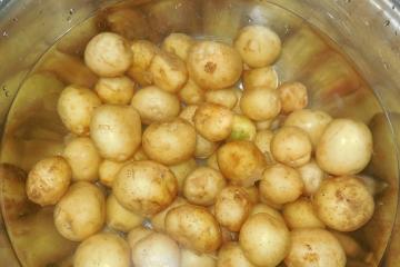 Аскөк қосылған картоп: сары маймен пісірілген, пісірілген, қуырылған Қуырылған жаңа картоп - ингредиенттер