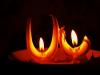 Incantesimo d'amore su due candele da chiesa ritorte conseguenze Forte incantesimo su due candele da chiesa ritorte