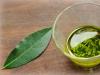 The use of bay leaves in the treatment of alcoholism Bay leaves for drunkenness recipe